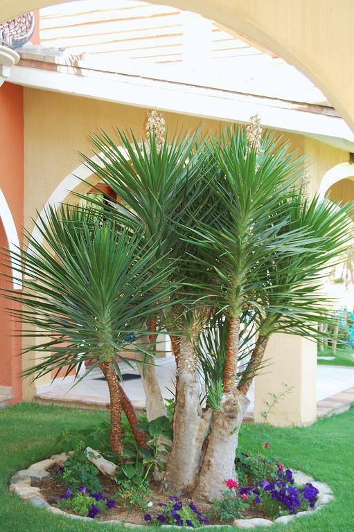 Aparthotel I Lentischi Villasimius Exteriér fotografie